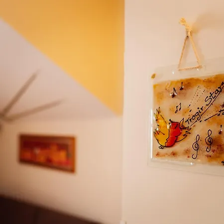 Old Town Stars With Free Parking Guest house Trogir