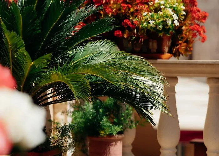 Old Town Stars With Free Parking 4* Trogir