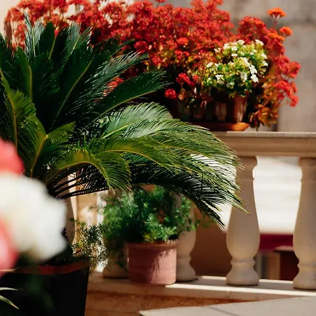 Old Town Stars With Free Parking 4* Трогір