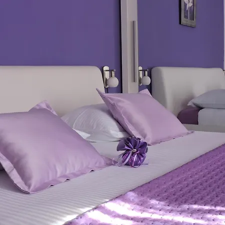 & Stars Free Parking Pensjonat 4*